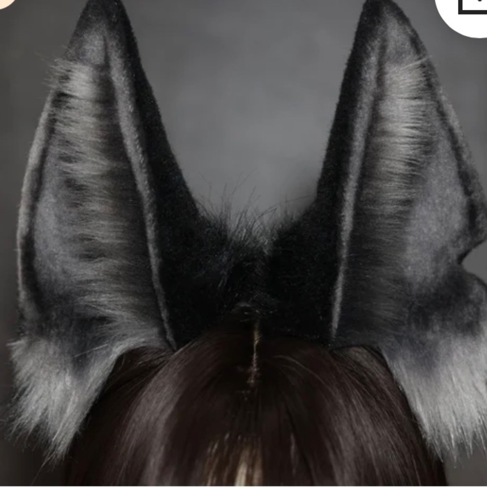 Realistic Anubis wolf ear